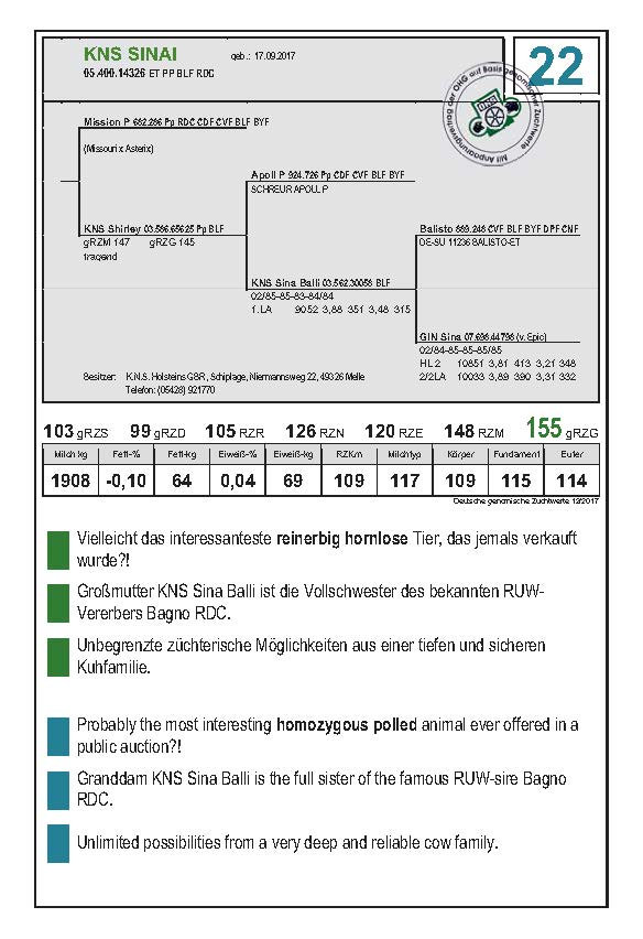 KNS SINAI, hija de MISSION P vendida por 27.500 &euro;